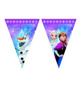 FROZEN vlaječkový banner