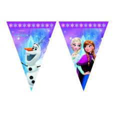 FROZEN vlaječkový banner