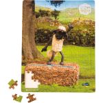 Ovečka Shaun tančící, puzzle, 100 dílků