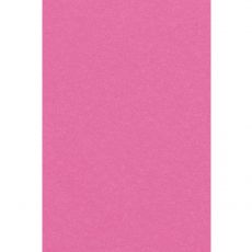 Růžový plastový ubrus, 137 x 274 cm