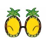 Brýle ANANAS