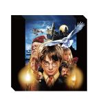 Harry Potter ubrousky 5 ks, 33x33 cm