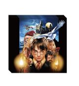 Harry Potter ubrousky 5 ks, 33x33 cm